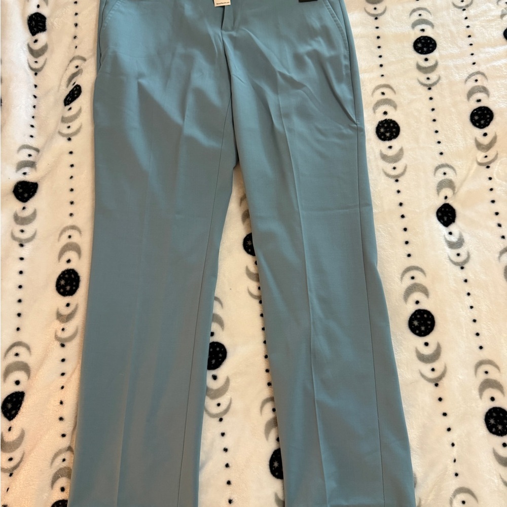 Banana Republic Sky Blue Trousers